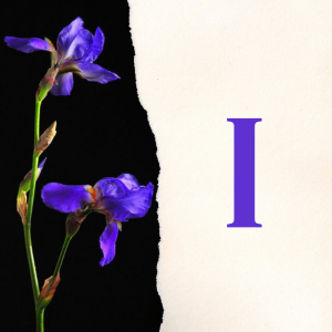 I: In the Garden of Purple Irises