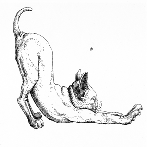 Bonus: The Pre-Comic Era of The Last Sun 