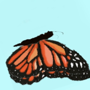How you can help Monarch_butterflies