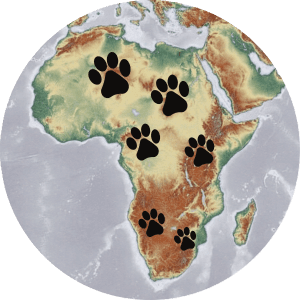 Chương 1: Loading the save… 