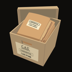 THE CASE