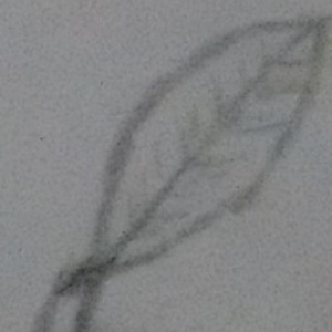 Procrastination sketches :D