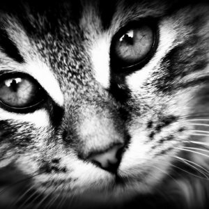 -i don't know anything-