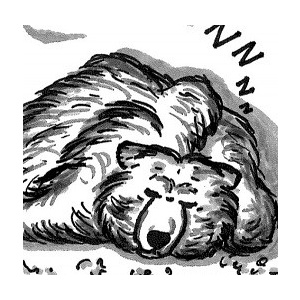 #GrizzlyLyf