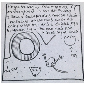 Roadkill in miniature