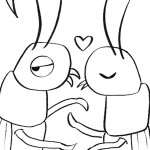 Chirps