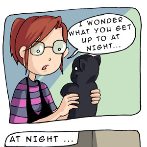 Night time activity 
