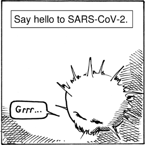 SARS-CoV-2