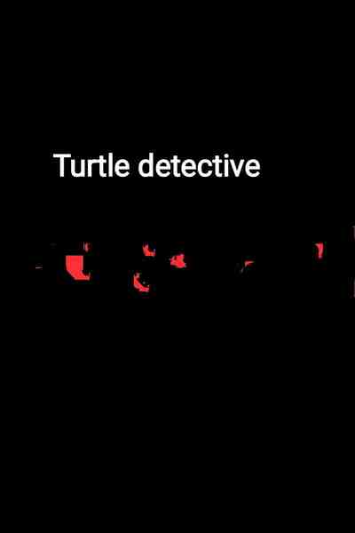 Turtle Detective 