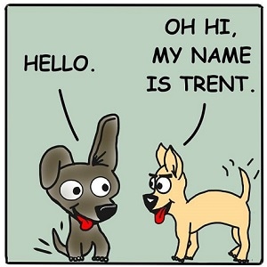 Hello From The Other Side