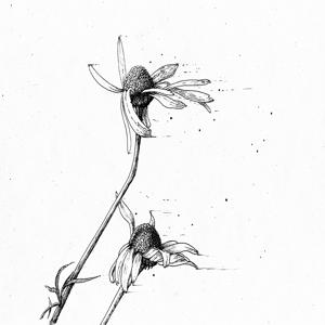 05 He Dreamed He Was a Unicorn&hellip;