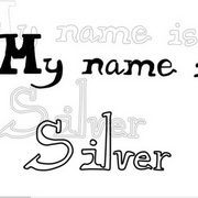 My name is Silver