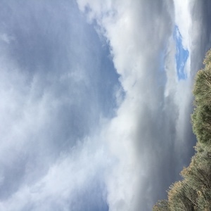 Should I tell a stranger &ldquo;bless you&rdquo;? 