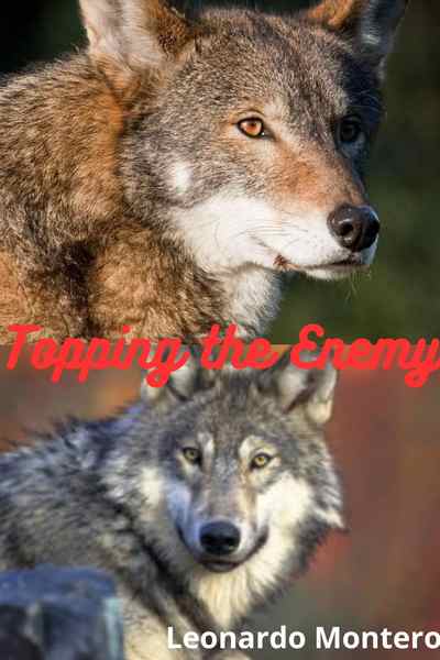 Topping the Enemy (Werewolf Story)