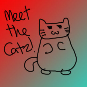 Meet the Catz!!