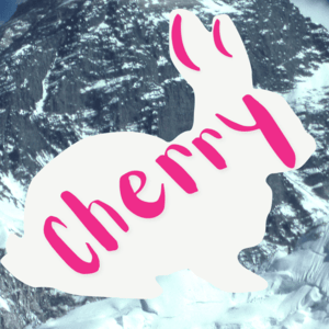 Chapter 5 (First Half)