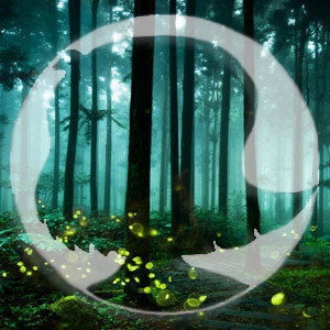 Letters between a Sufi and a Weirdo: Fireflies
