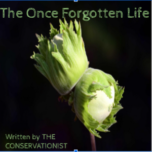 Chapter 5 - A Gift From The Multiverse