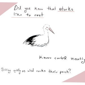 Totally Just Storks