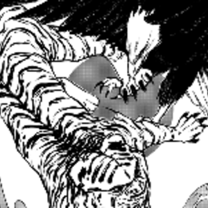 Hawk vs Tiger (#1)