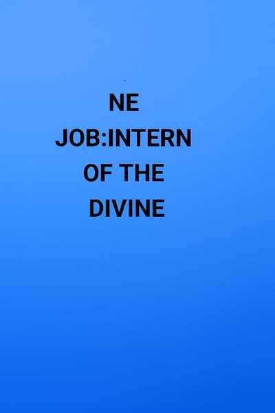 NE JOB:INTERN OF THE DIVINE