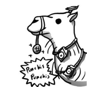 Tianguis del Camellos