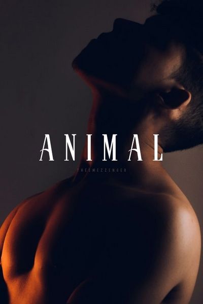 Animal