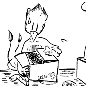 A Phoenix's Meditation