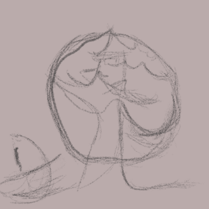 The modern day of a cat's life