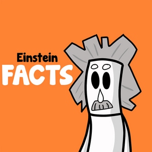 Einstein FACTS!!!!