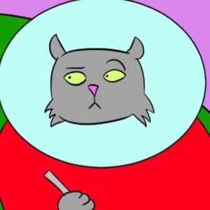 Encarando o Gato