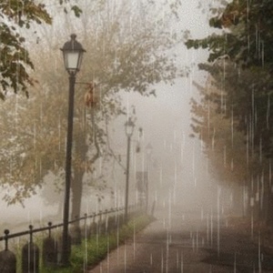 autumn rain * poem