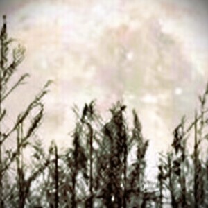 CH- 16: Ghost Of A Loved One, but Still A Mystery...