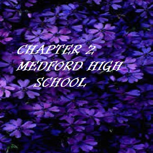Chapter 2 Medford High school part1