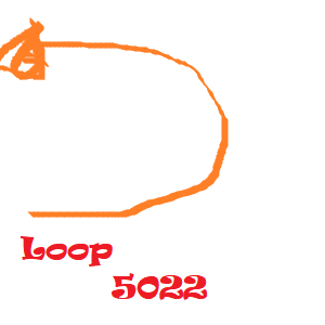 Loop 4975