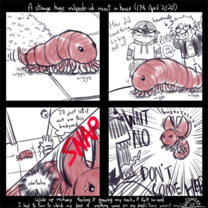 Invasion of big flying milipede