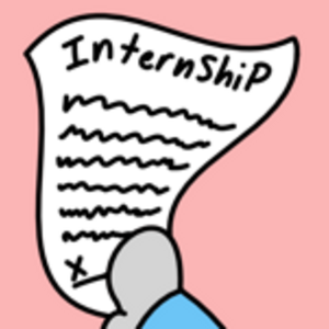 Ep. 8 - Internship