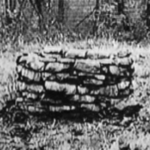 Halloween 2024 - Spooky Night