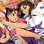 Cat Fight