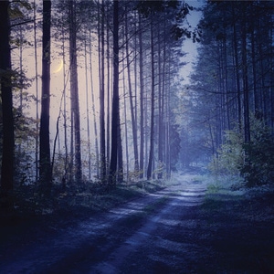 A Tune You Cannot Touch