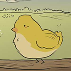 Episode 1 _ All birds fly