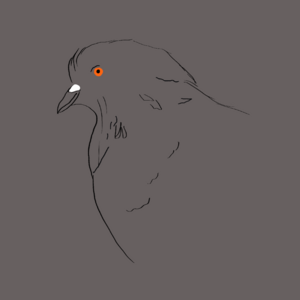 Birds of the Parking Lot