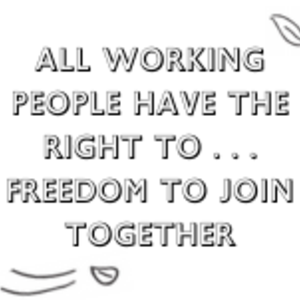 All Working People have the Right to... the Freedom to Join Together