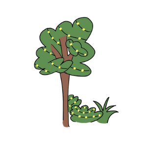 Christmas Decoration