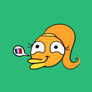 Le petit oiseau - FR