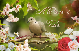 custom banner