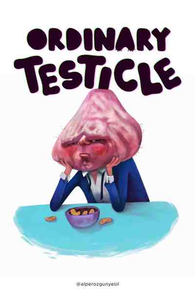 OrdinaryTesticle