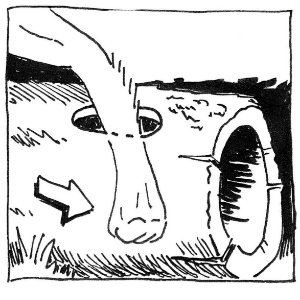 A bird (?) in the hand...