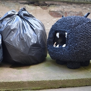 ...shuffleshuffle...