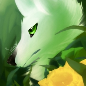 Portrait of a White Wolf